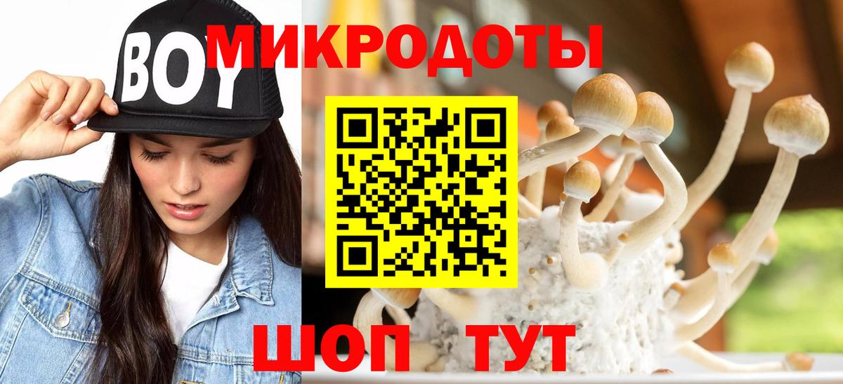 Псилоцибиновые грибы Psilocybine cubensis  Вход с VPN  цены   Удомля 